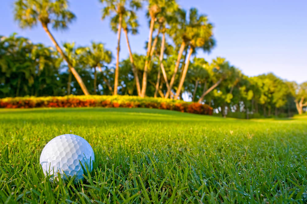 Best Golf Courses In The Bahamas Bahamas Golf Courses