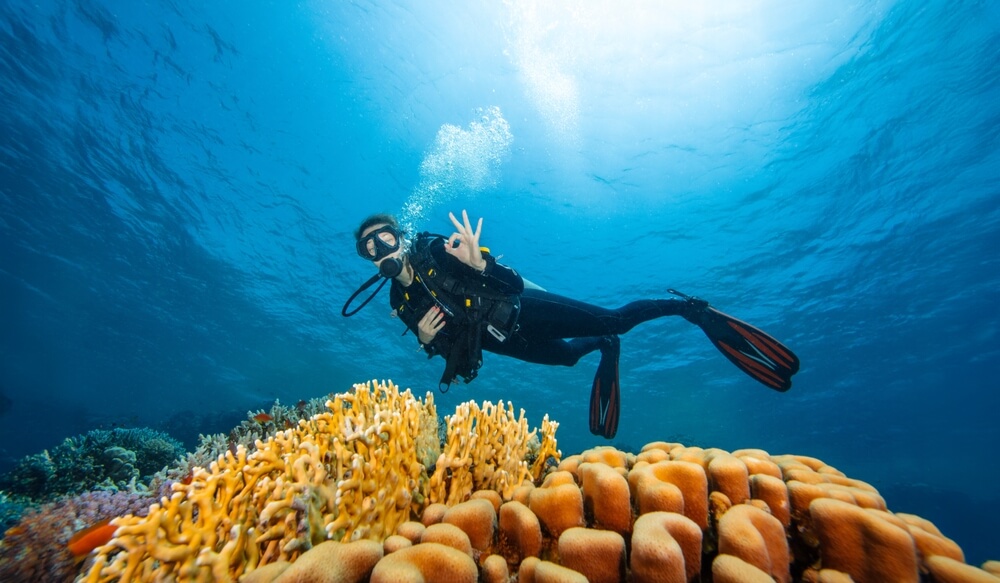 A person scuba diving, one of the best activities in Nassau.