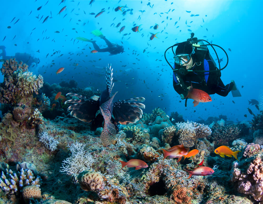 People scuba diving in Nassau.